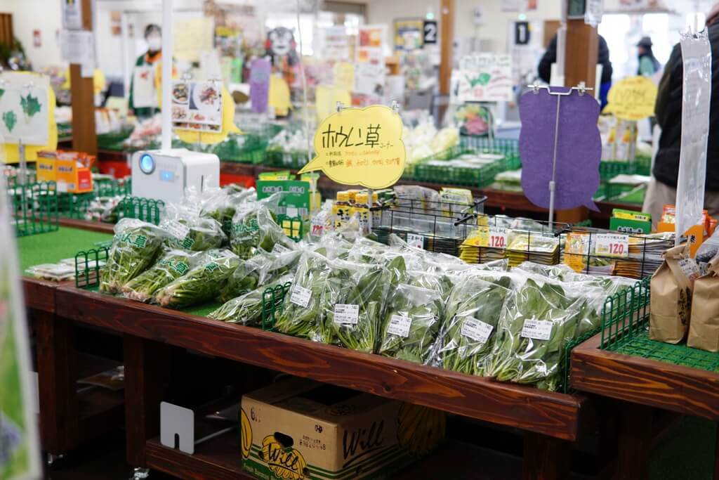 すいかの里　道の駅　植木