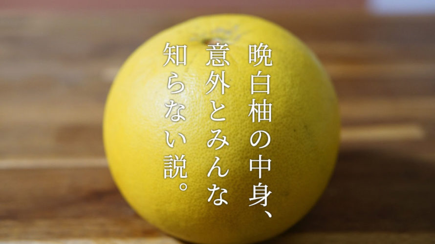 【人生初】巨大くだもの「晩白柚(ばんぺいゆ)」を剥いて食べてみる