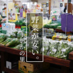 『すいかの里』は野菜が安い！品数も豊富で熊本のおすすめ道の駅です