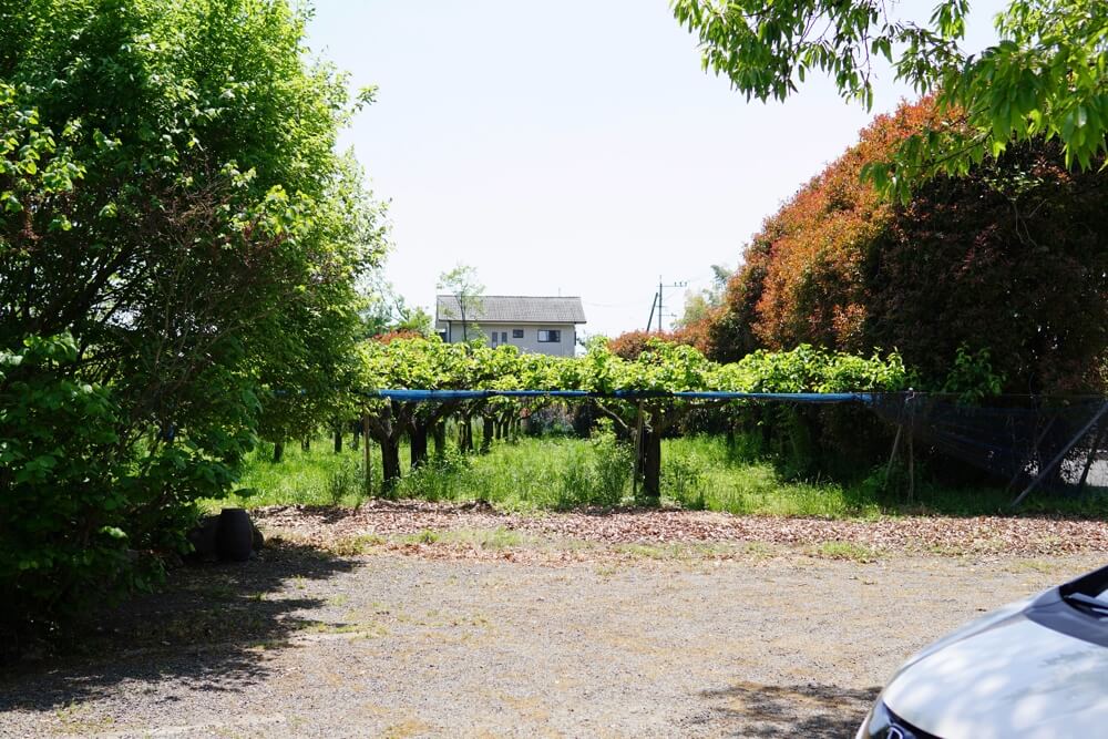 花の果樹園　熊本