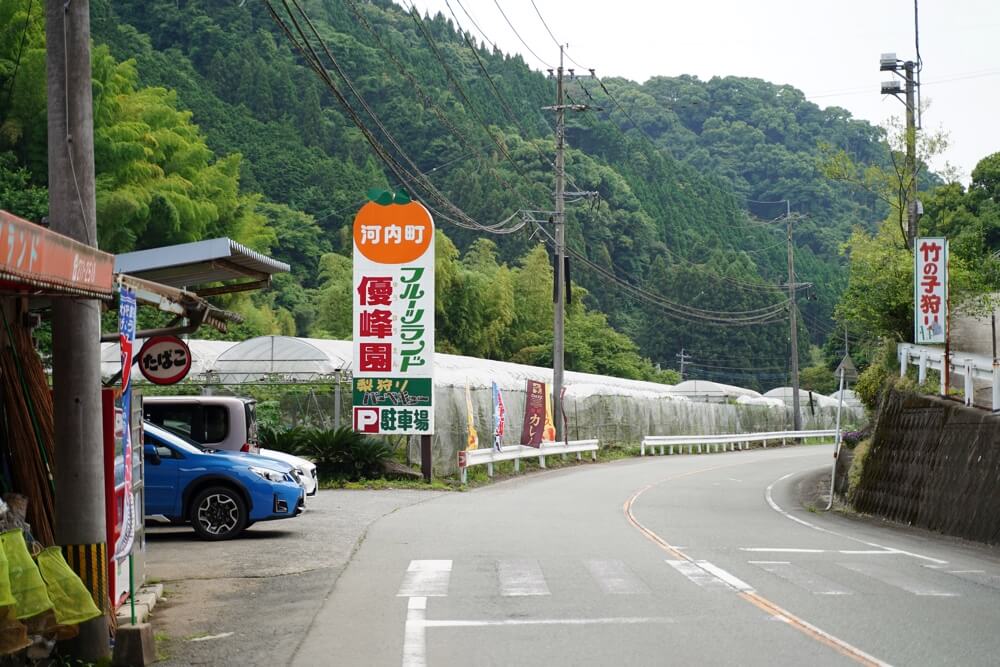 かわゆか カフェ 金峰山