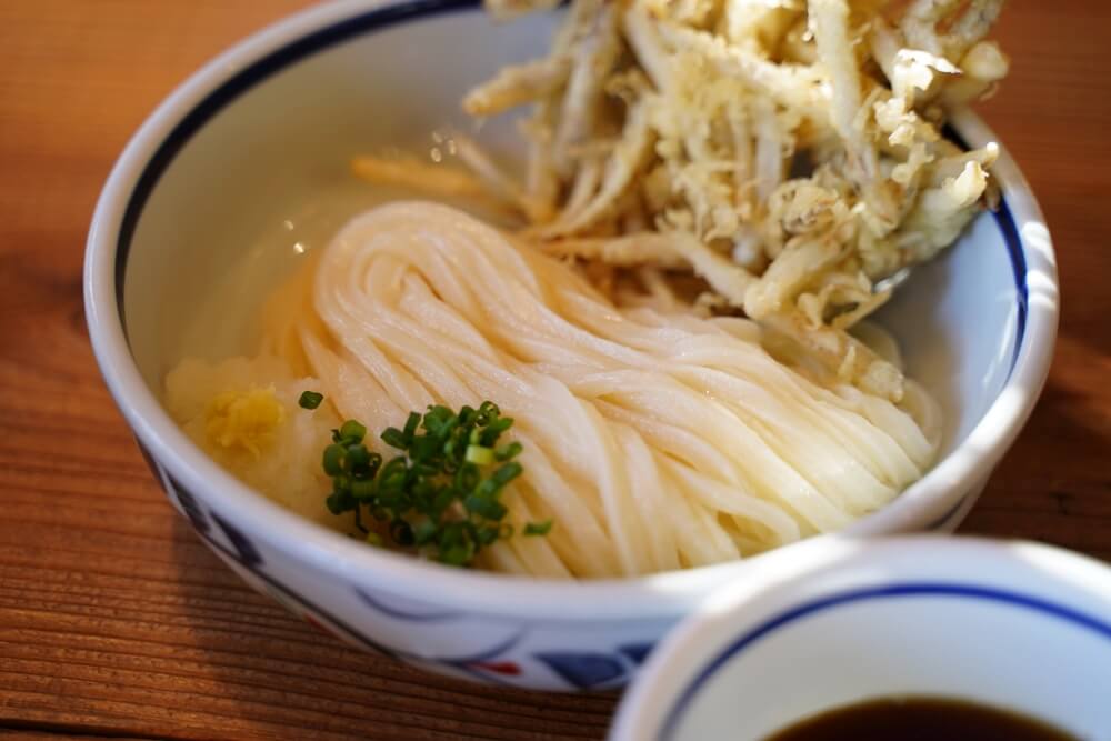 けんたろう うどん 八代