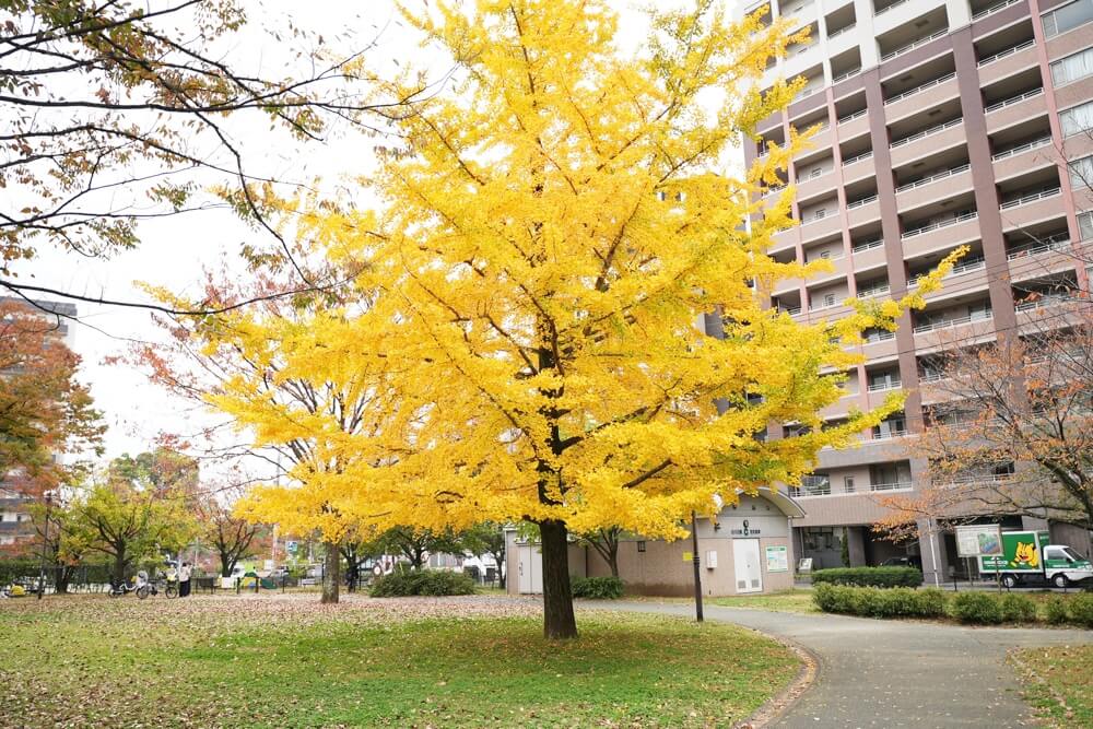 ラパティシエール 日航熊本