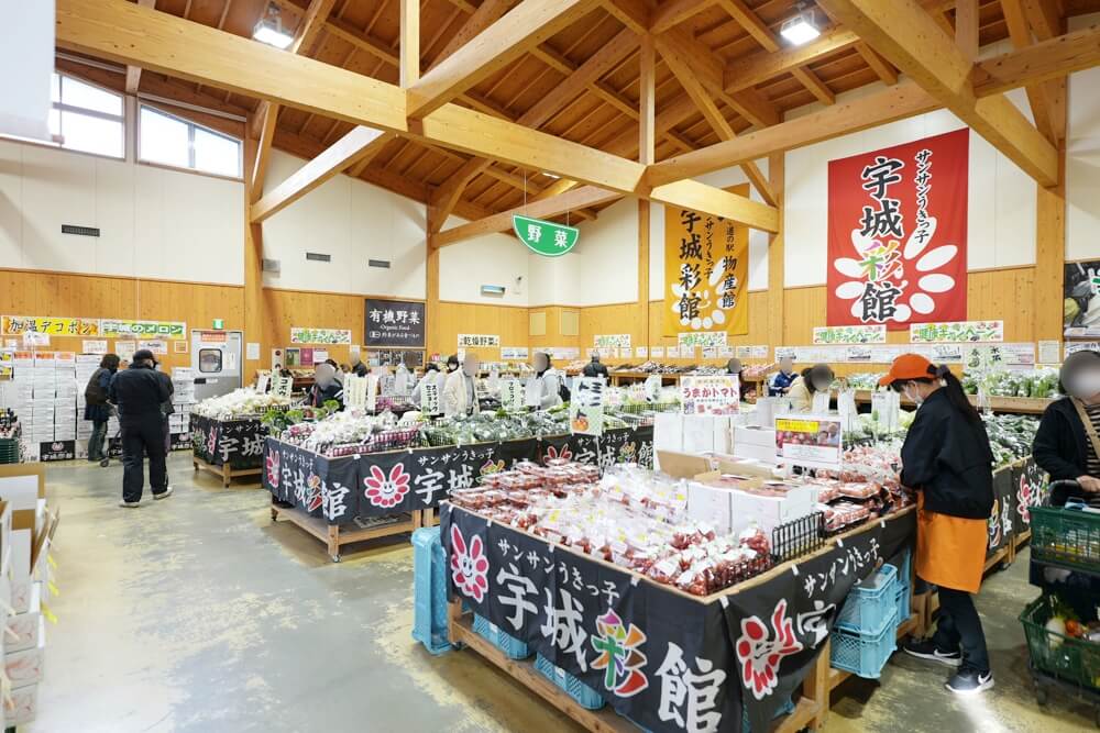 宇城彩館