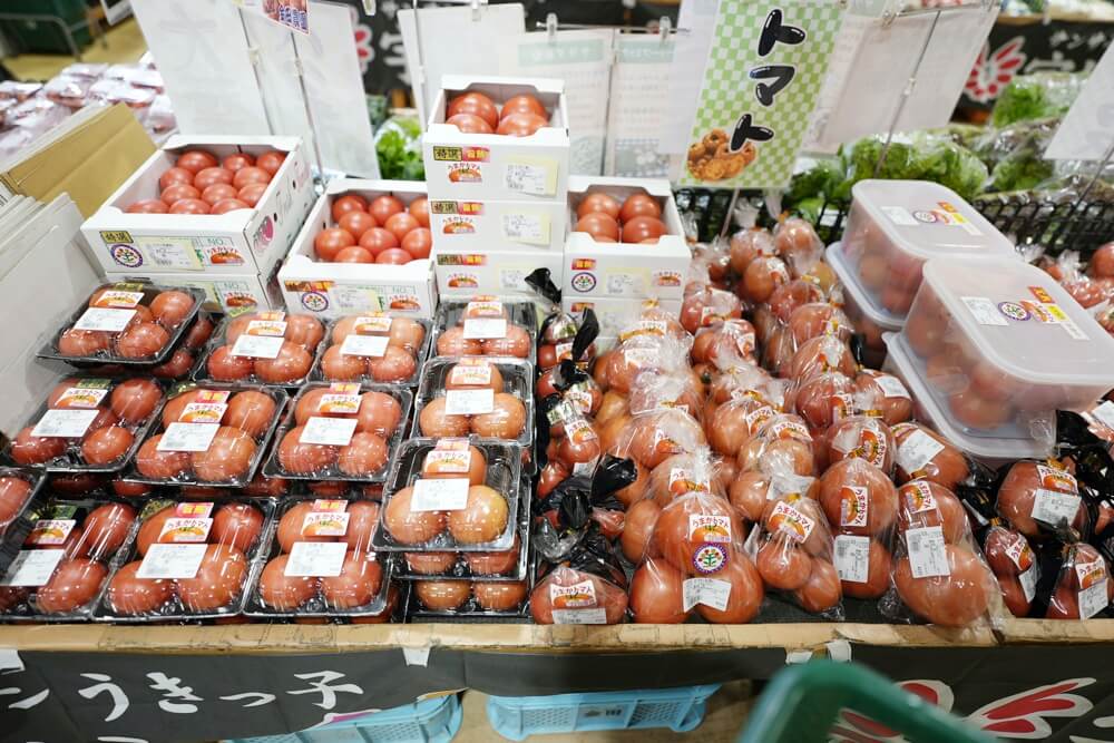 宇城彩館