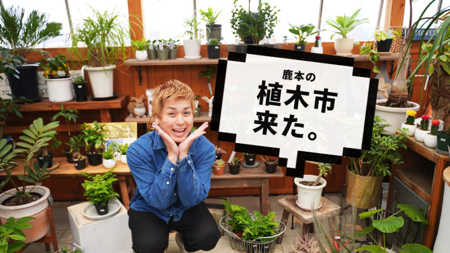 植木市が開催されている「JAかもと 夢大地館」に行ってきた！おいしい食材もたっぷり買えます