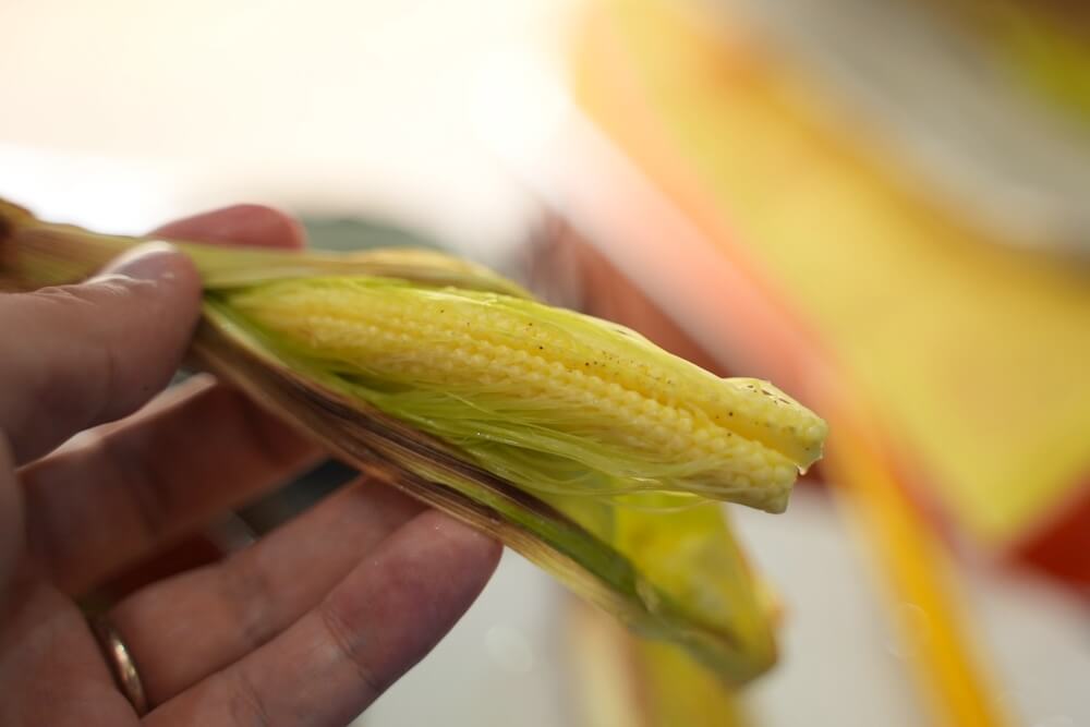 熊本 朝食 たらちね