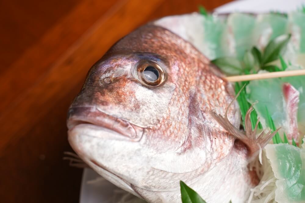 山家 刺身 熊本