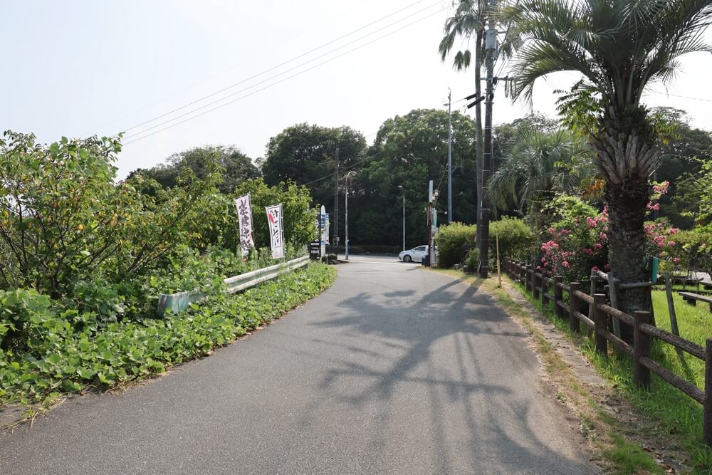 赤い看板 上天草 チーズケーキ