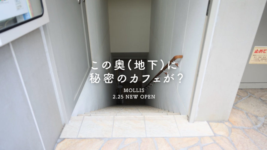 【MOLLIS モリス】熊本の街中・地下にお菓子もおいしいカフェが爆誕しました