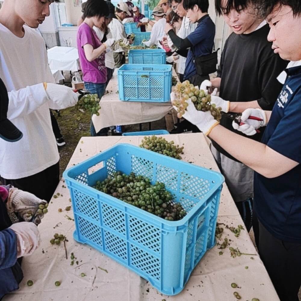 高浜ワイン 天草