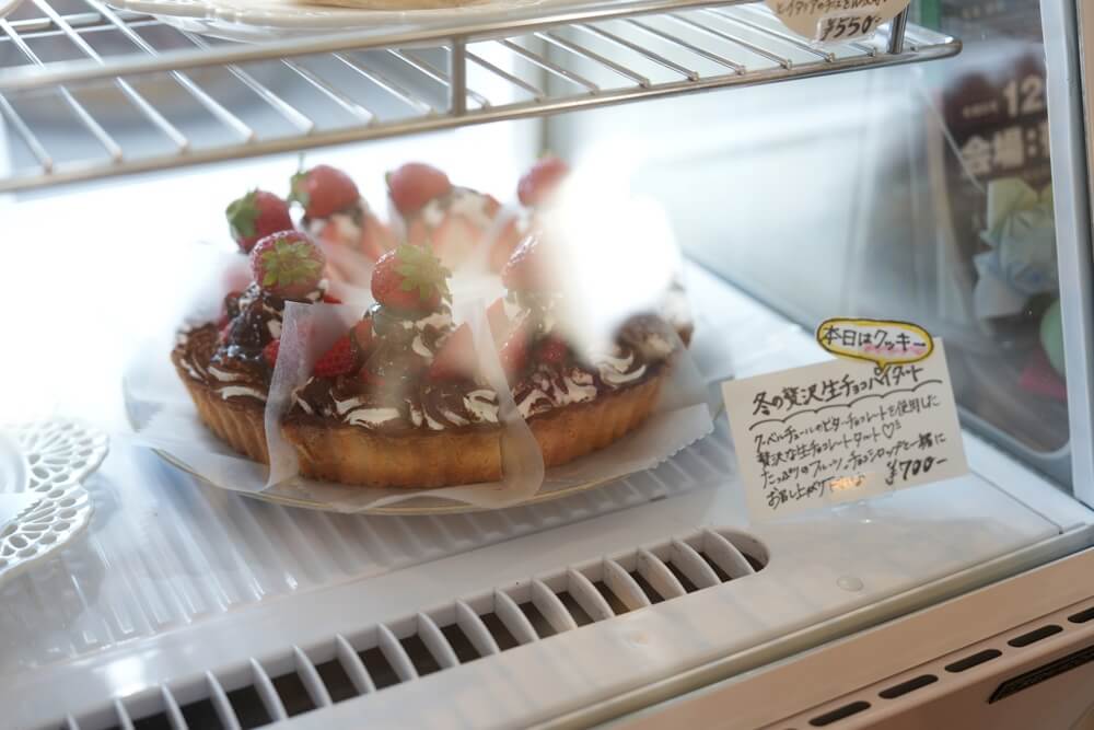 サンクシュシュ 菊池