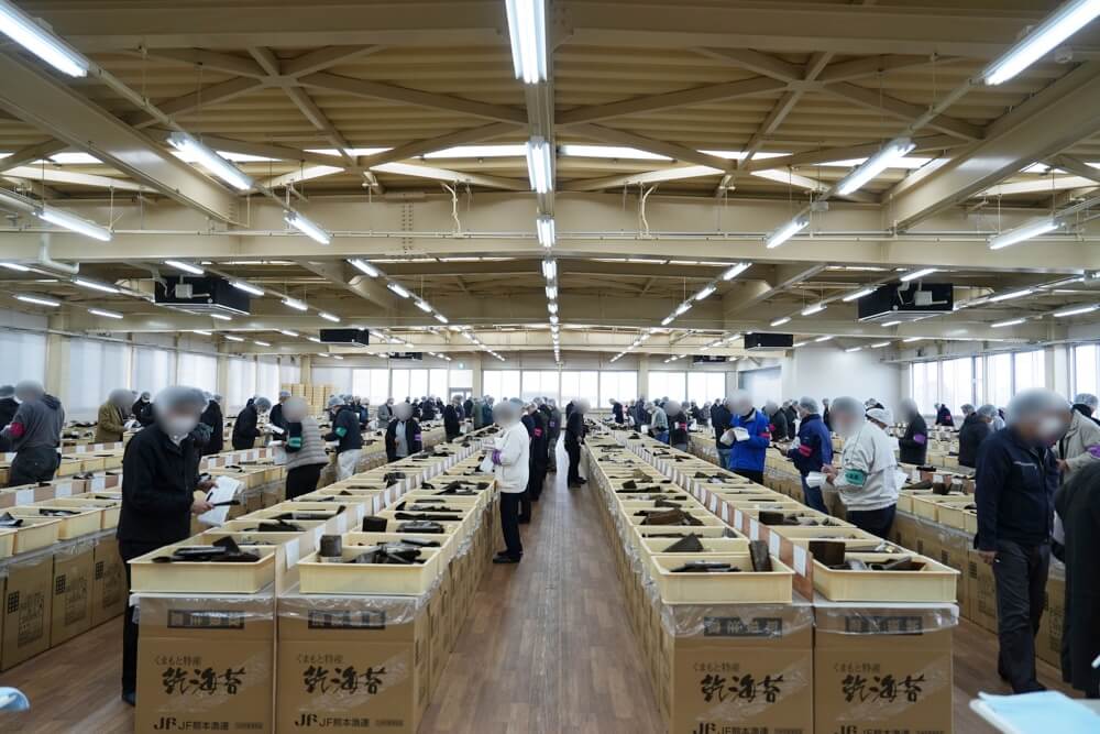 風雅 ダイレクト海苔