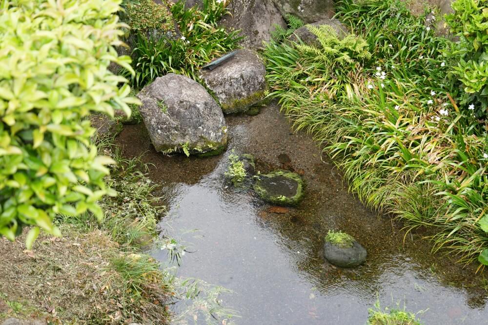 水前寺成趣園 観光