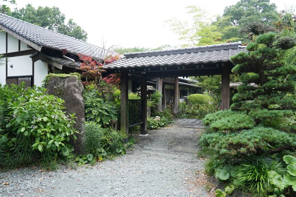 花三菖 はなさんしょう 大津町