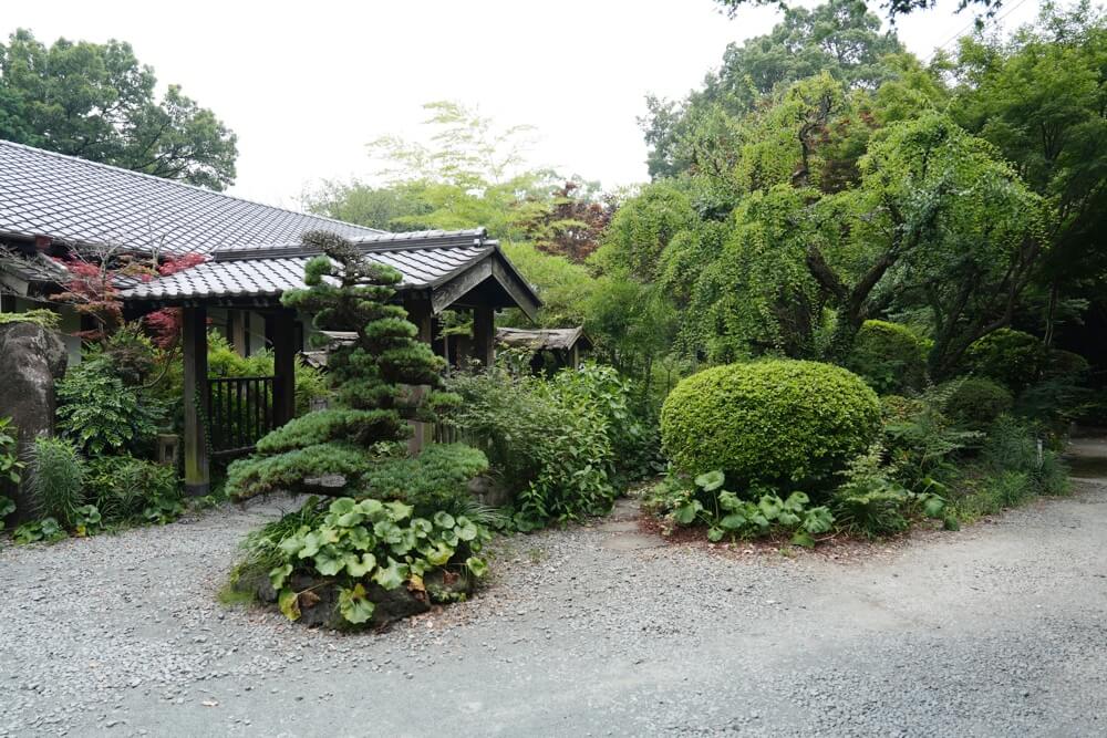 花三菖 はなさんしょう 大津町