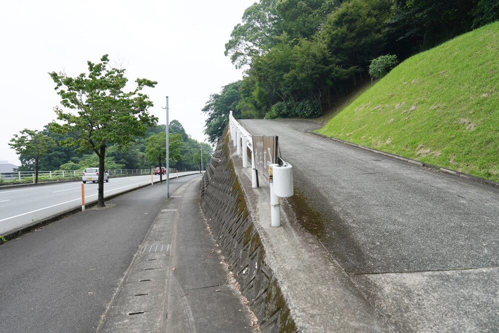 花三菖 はなさんしょう 大津町