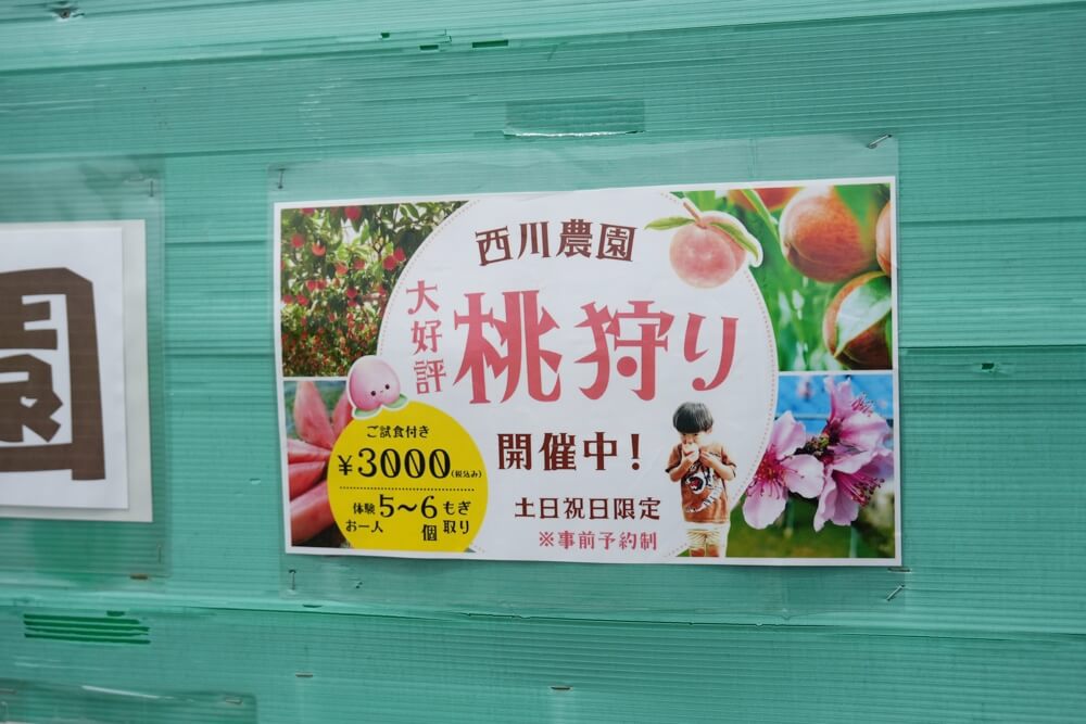西川農園 熊本 桃狩り