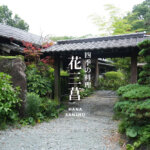 花三菖 はなさんしょう 大津町