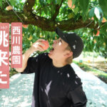 西川農園 熊本 桃狩り