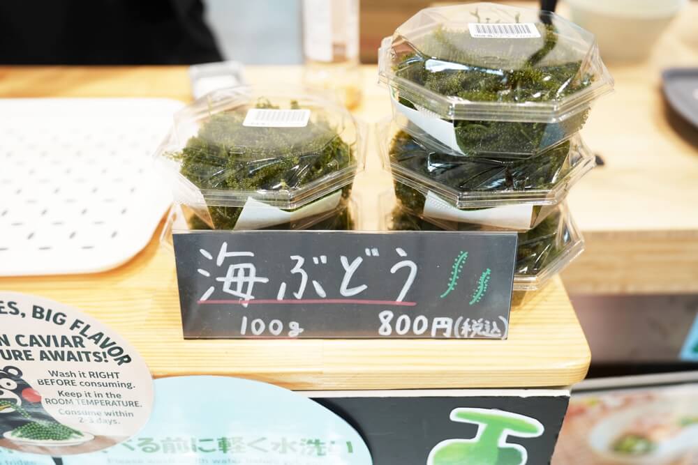 moba 熊本 住吉海岸公園