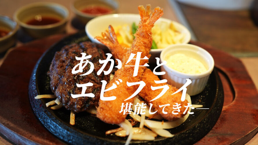 エビフライ活動(定期)をしていたら「OOTSUKA GRILL A.K.A」にやってきていた@熊本・流通団地