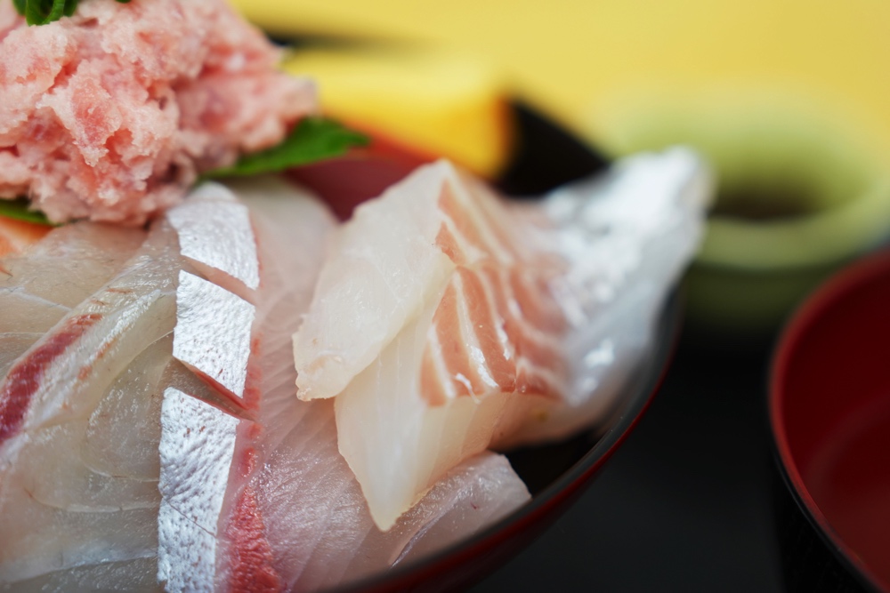 海光 わたつみ 熊本