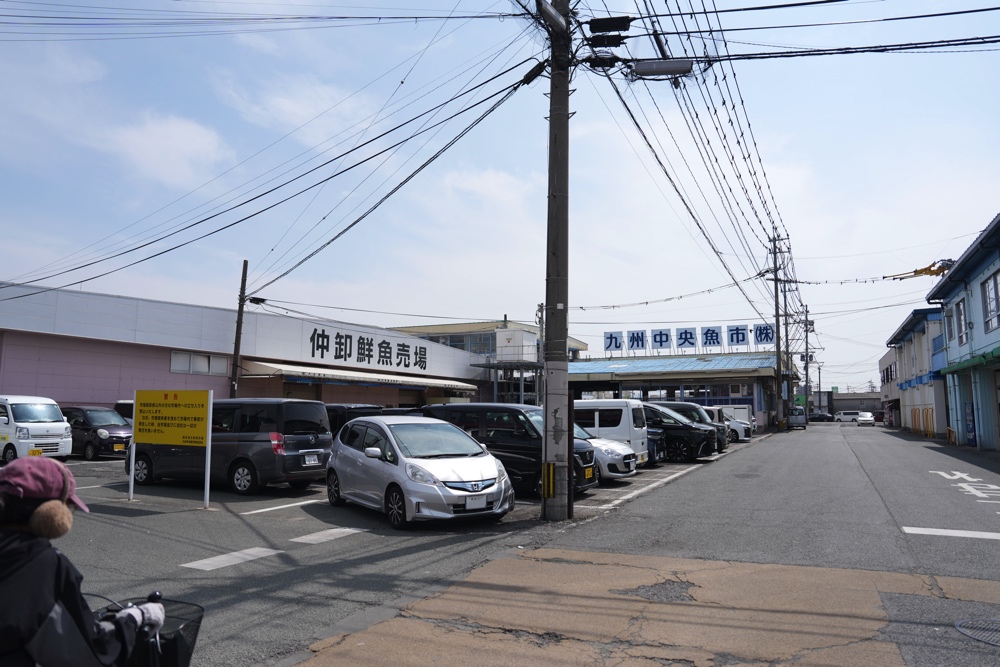 海光 わたつみ 熊本