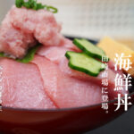 田崎市場 海鮮丼 海光