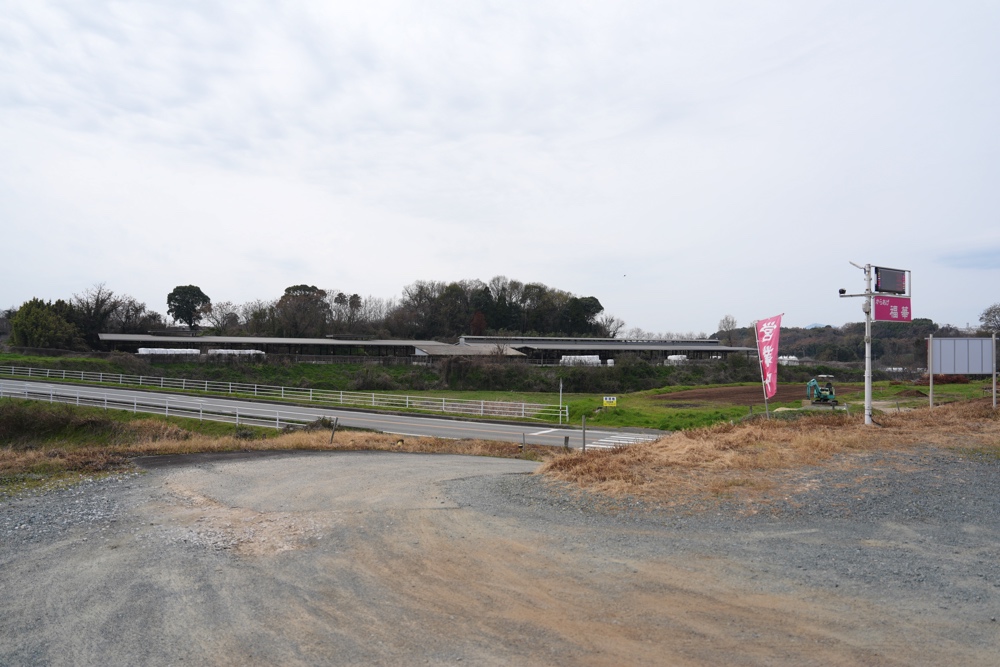 福華 熊本 からあげ