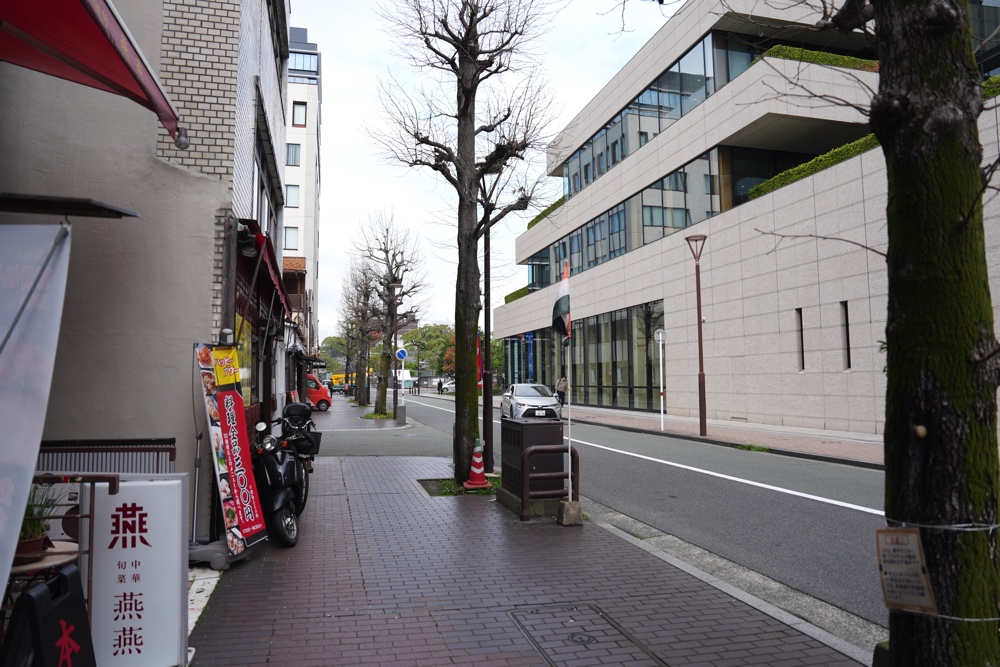 大平 熊本 うなぎ