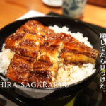 大平 熊本 うなぎ