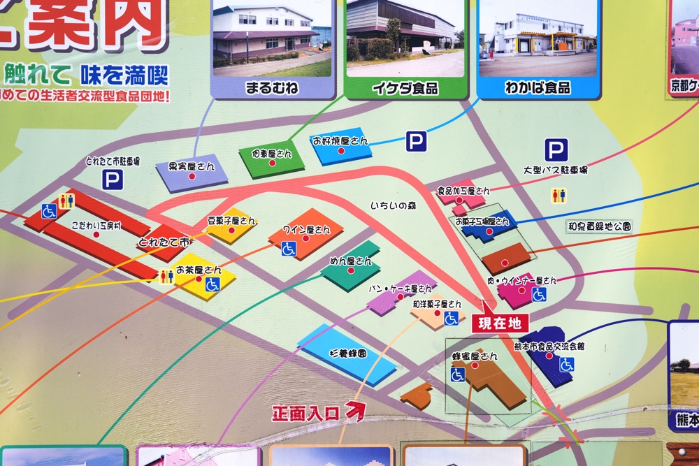 ベッラドンナ 熊本 フードパル