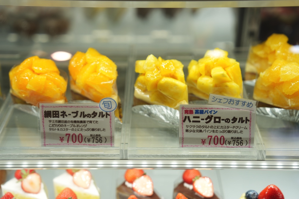 オルタンシア 宇土市