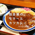 田舎屋 熊本 カツカレー