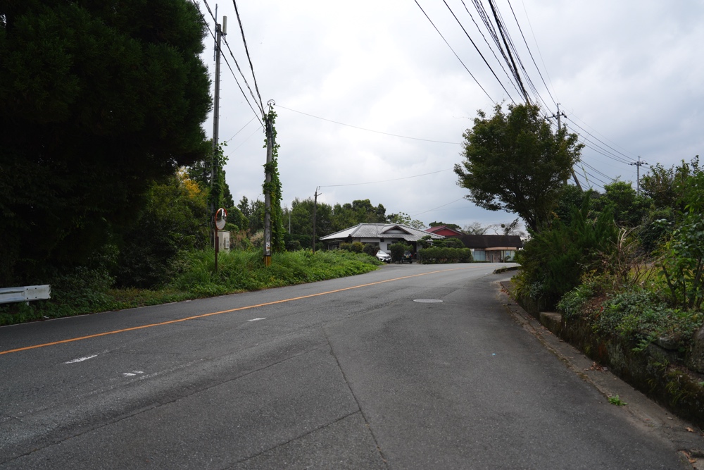 山しゅう庵 菊池 そば
